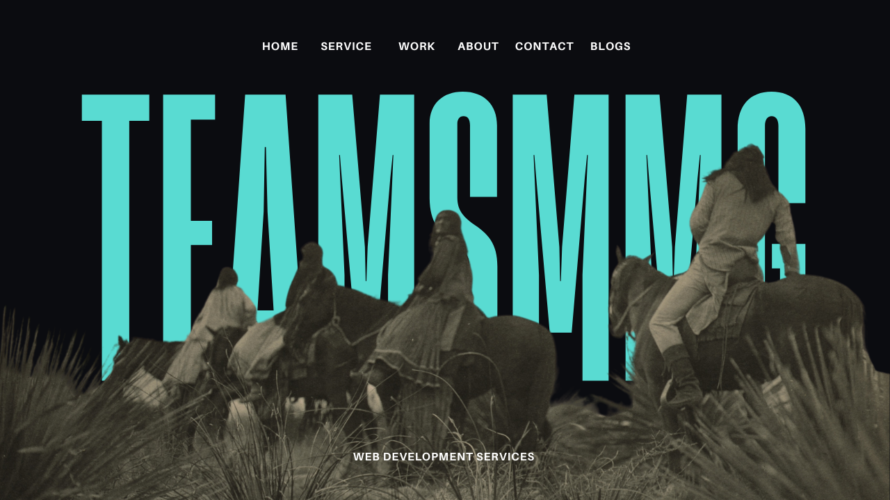 TeamSMMG Digital Services Platform